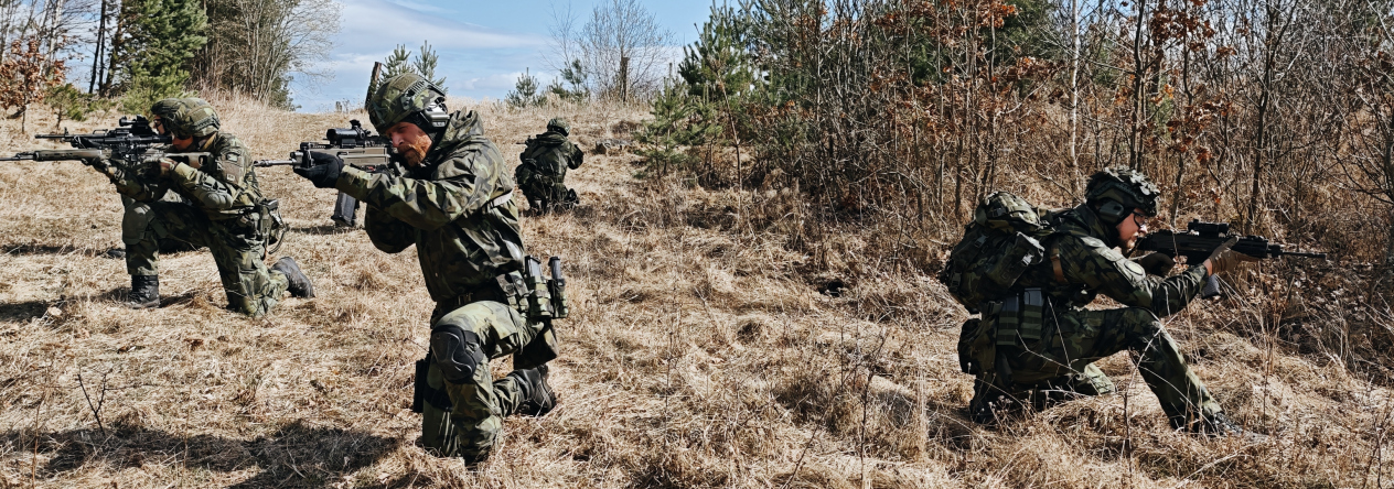 Desetidenní polní nasazení prověřilo dovednosti 201. praporu územní obrany