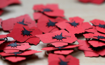 Začala kampaň Vlčí mák ČR pro válečné veterány 2025