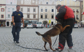 Ukázka výcviku služebních psů Vězeňské služby ČR